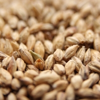 Weyermann® Pale Ale