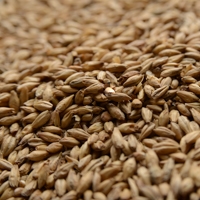 Briess Brewers Malt