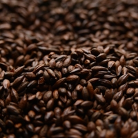Briess Roasted Barley