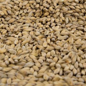 Gambrinus Munich Light 10L