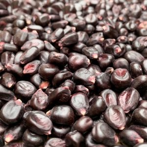 Purple Corn Whole Non-GMO