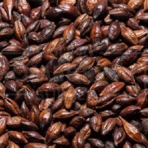 Pale Chocolate Grain