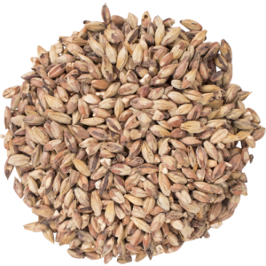 Briess Special Roast