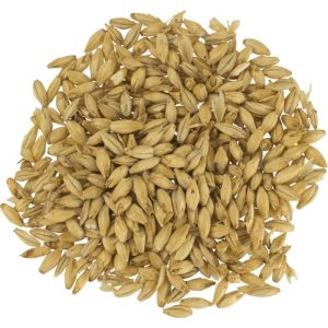 Superior Pilsen Malt