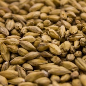 Weyermann® Barke® Pilsner Malt